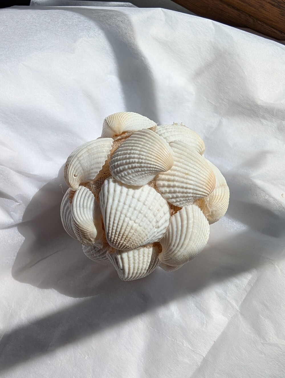 Decorative Seashell Ball